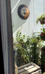 The Urbanite (D8), Apartment #454892941